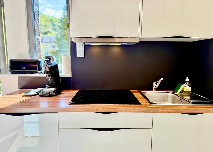 公寓 Le 229 Du Bernascon - Calme & Centre *